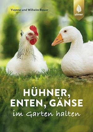 Cover for Wilhelm Bauer · Hühner, Enten, Gänse im Garten halten (Buch) (2022)