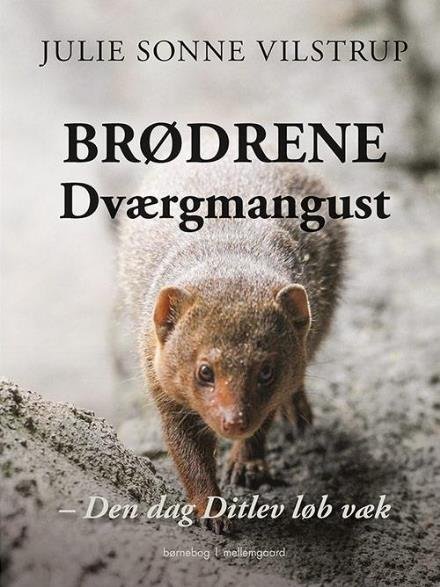 Cover for Julie Vilstrup · Brødrene Dværgmangust (Innbunden bok) [1. utgave] (2017)