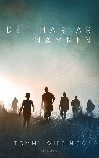 Cover for Tommy Wieringa · Det här är namnen (ePUB) (2016)