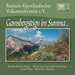 Cover for Bairisch-alpenländischer Volksmusikverein E.v. · Musterkofferl 2-gamsbergsteign Im Summa (CD) (2011)