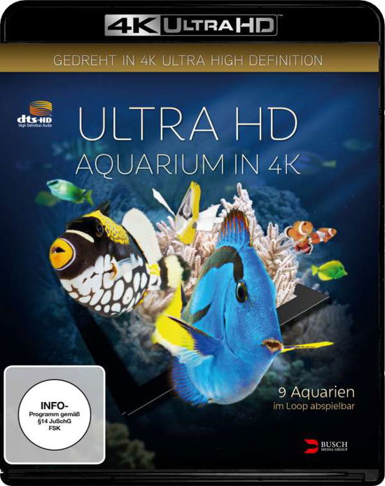 Ultra Hd Aquarium in 4k (4k Uh - Simon Busch - Elokuva - Alive Bild - 4260080325431 - perjantai 11. marraskuuta 2016