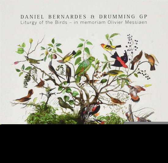 Cover for Daniel Bernardes · Liturgy Of The Birds (CD) (2019)