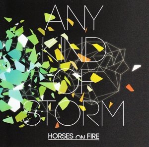 Any Kind Of Storm - Horses On Fire - Musik - V2 - 8717931325431 - 13 mars 2014