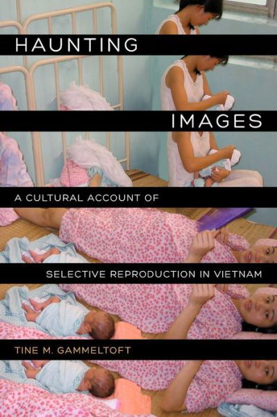 Cover for Tine M. Gammeltoft · Haunting Images: A Cultural Account of Selective Reproduction in Vietnam (Paperback Book) (2014)