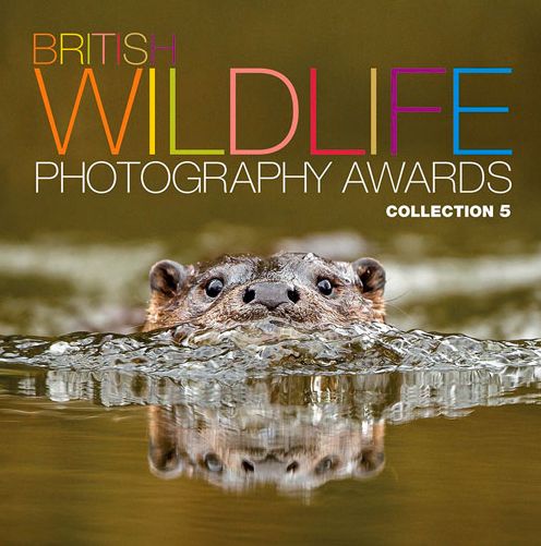 Cover for Aa Publishing · British Wildlife Photography Awards: Collection 5 (Hardcover Book) (2014)