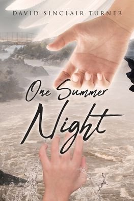 Cover for David Sinclair Turner · One Summer Night (Paperback Book) (2019)