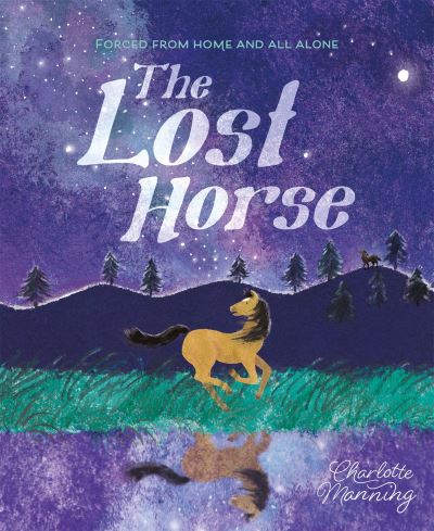 Cover for Charlotte Manning · The Lost Horse: Forced from home and all alone (Paperback Book) (2023)