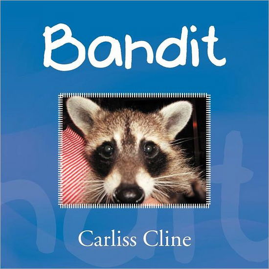 Cover for Carliss Cline · Bandit (Paperback Book) (2012)