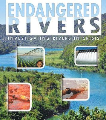 Cover for Rani Iyer · Endangered Rivers - Investigating Rivers in Crisis (Hardcover Book) (2019)