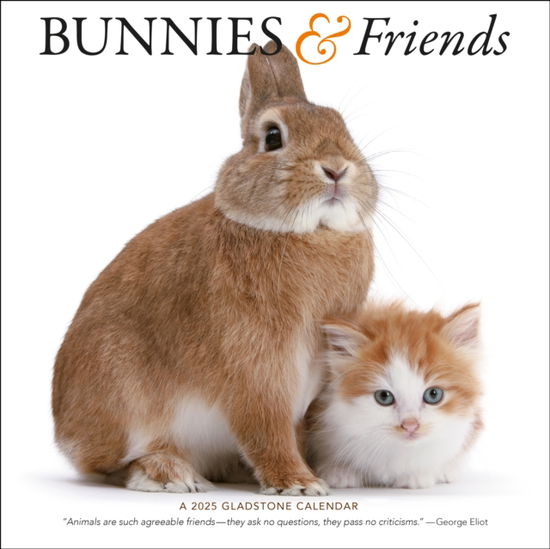 Bunnies & Friends Square Wall Calendar 2025 - Gladstone Media - Kirjat - Gladstone Media - 9781612235431 - perjantai 23. elokuuta 2024