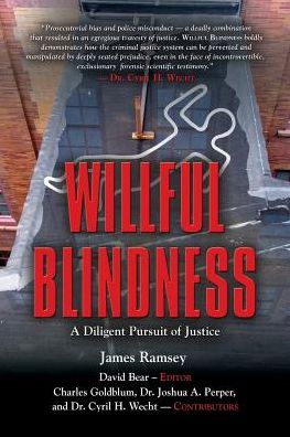 Cover for Ramsey, James (New York University) · Willful Blindness: A Diligent Pursuit of Justice (Paperback Book) (2016)