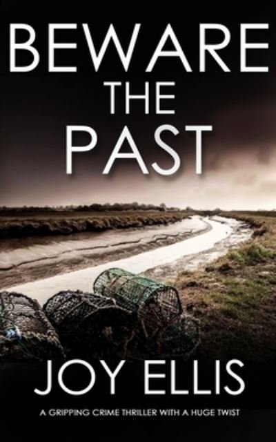 Cover for Joy Ellis · BEWARE THE PAST a gripping crime thriller with a huge twist - Detective Matt Ballard Mystery (Paperback Book) (2017)