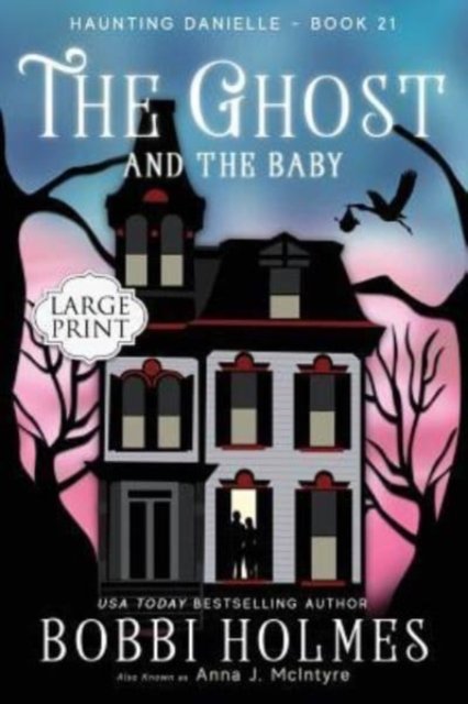Cover for Bobbi Holmes · The Ghost and the Baby (Paperback Book) (2019)