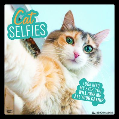 Cover for Browntrout · Cat Selfies 2023 Square (Calendar) (2022)