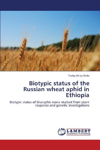 Cover for Tesfay Belay Reda · Biotypic Status of the Russian Wheat Aphid in Ethiopia: Biotypic Status of Diuraphis Noxia Studied from Plant Response and Genetic Investigations (Paperback Book) (2012)