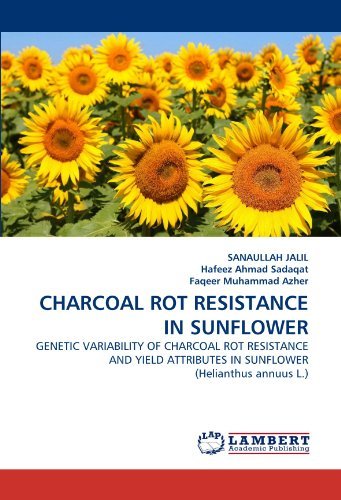 Cover for Faqeer Muhammad Azher · Charcoal Rot Resistance in Sunflower: Genetic Variability of Charcoal Rot Resistance and Yield Attributes in Sunflower (Helianthus Annuus L.) (Paperback Book) (2011)