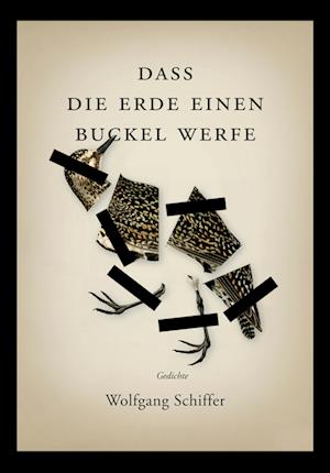 Cover for Wolfgang Schiffer · Dass die Erde einen Buckel werfe (Hardcover Book) (2022)