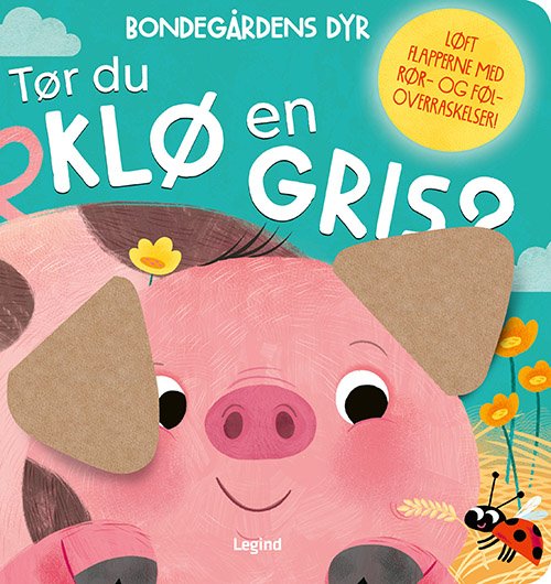 Cover for Kathryn Jewitt · Tør du klø en gris? (Cardboard Book) [1º edição] (2024)