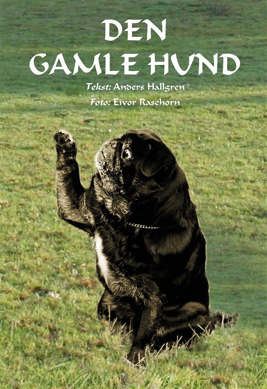 Cover for Anders Hallgren · Den gamle hund (Gebundesens Buch) [1. Ausgabe] (2007)