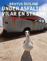 Cover for Brutus Östling · Under asfalten vilar en strand : Midways albatrosser (Bound Book) (2011)