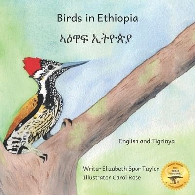 Cover for Ready Set Go Books · Birds in Ethiopia (Paperback Book) (2021)