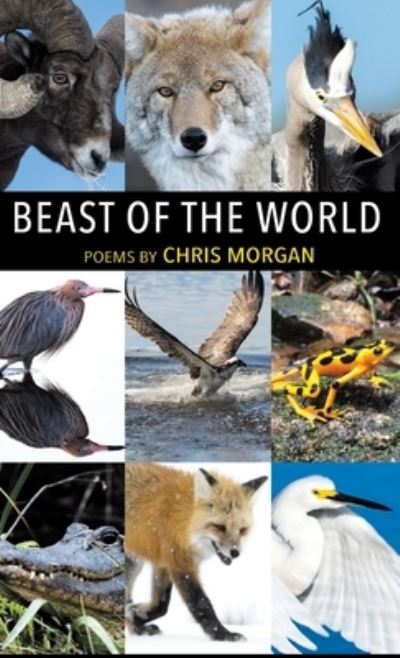 Cover for Chris Morgan · Beast of the World (Buch) (2023)