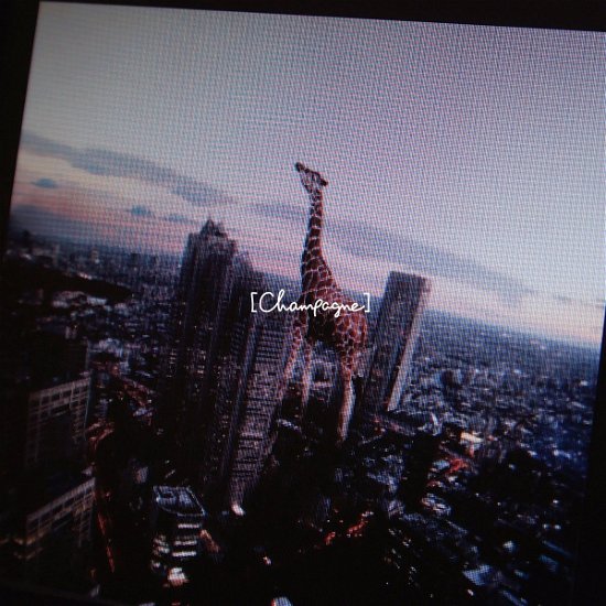 Cover for [champagne] · Starrrrrrr / Namida Ga Koboresou (CD) [Japan Import edition] (2013)