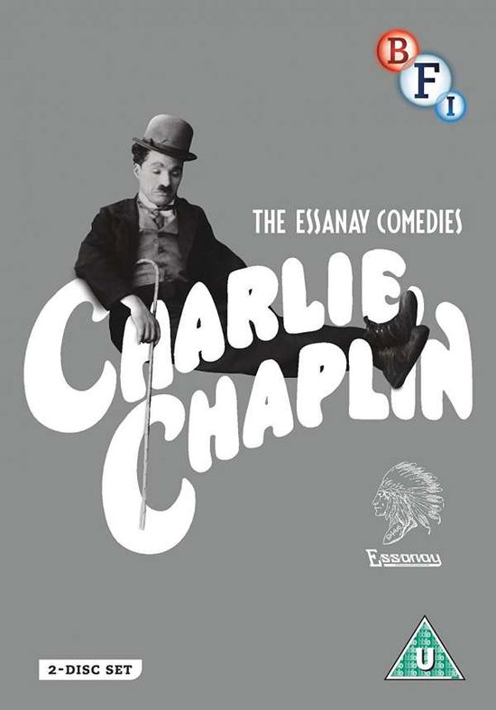 Cover for Charlie Chaplin the Essanay Films · Charlie Chaplin - The Essanay Films (DVD) (2017)