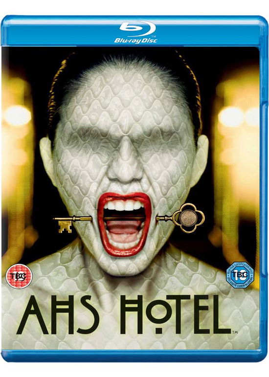 American Horror Story Season 5: Hotel - American Horror Story - Hotel - Elokuva - TCF - 5039036076432 - maanantai 3. lokakuuta 2016