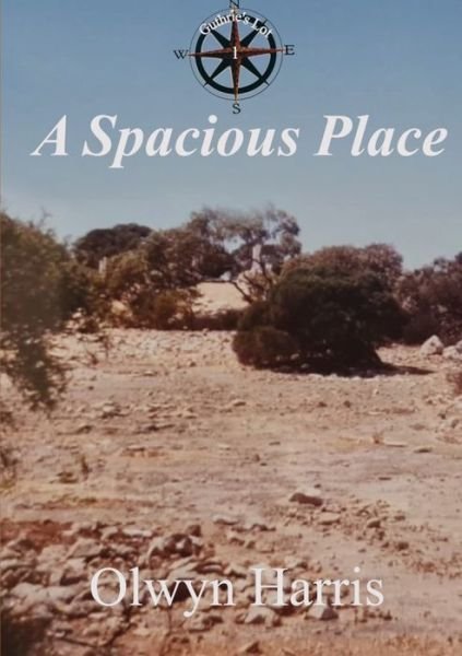 Cover for Olwyn Harris · A Spacious Place (Paperback Book) (2021)