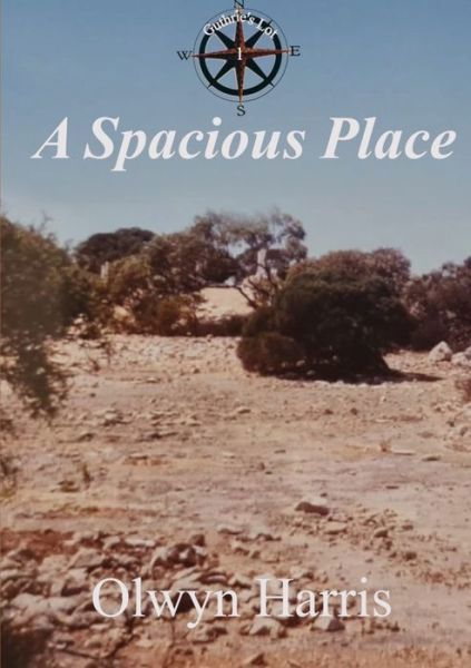 A Spacious Place - Olwyn Harris - Books - Reading Stones Publishing - 9780645110432 - April 8, 2021