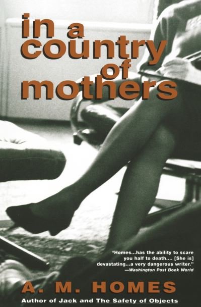 In a country of mothers - A. M. Homes - Livros - Vintage Books - 9780679742432 - 5 de abril de 1994