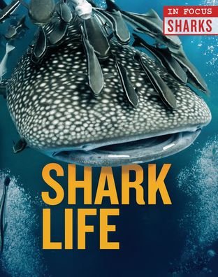 Cover for Camilla de la Bedoyere · Shark Life (Book) (2020)