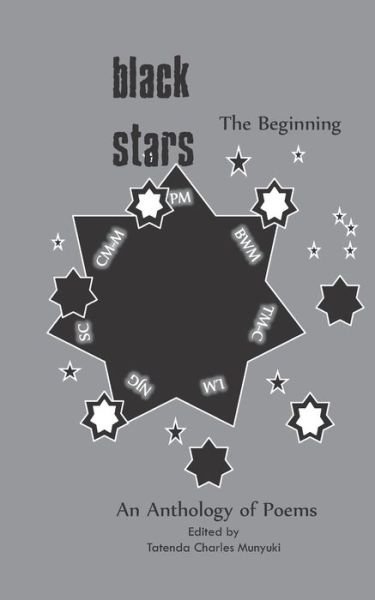 Cover for Lloyd Machacha · BLACK STARS The Beginning (Paperback Book) (2014)