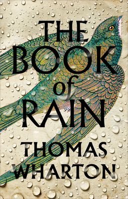 Cover for Thomas Wharton · The Book of Rain (Inbunden Bok) (2023)