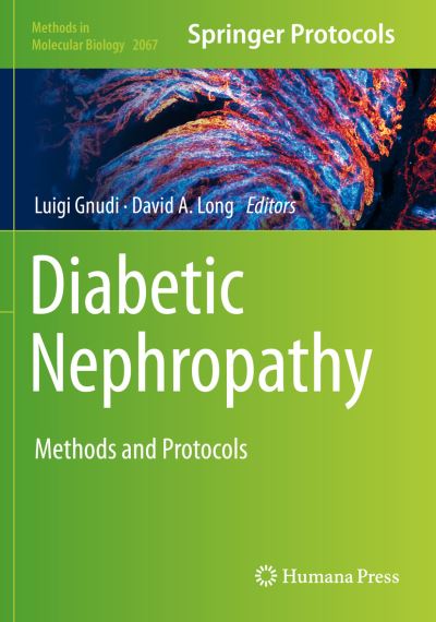 Cover for Diabetic Nephropathy: Methods and Protocols - Methods in Molecular Biology (Paperback Book) [2020 edition] (2020)