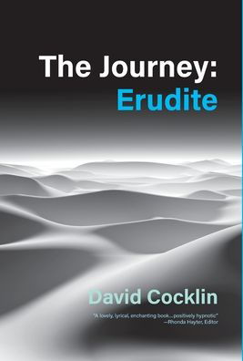 Cover for David Cocklin · The Journey (Hardcover Book) (2020)