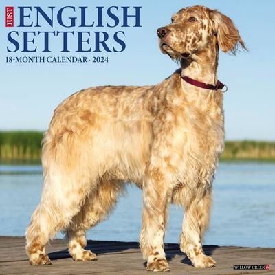 Cover for Willow Creek Press · Just English Setters 2024 12 X 12 Wall Calendar (Kalender) (2023)