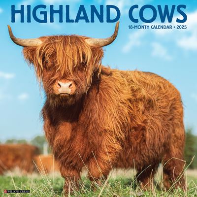 Willow Creek Press · Highland Cows 2025 12 X 12 Wall Calendar (Kalender) (2024)