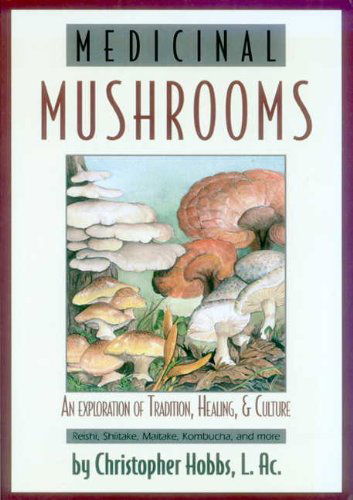 Cover for Christopher Hobbs · Medicinal Mushrooms: an Exploration of Tradition, Healing, &amp; Culture (Herbs and Health Series) (Paperback Book) (2002)