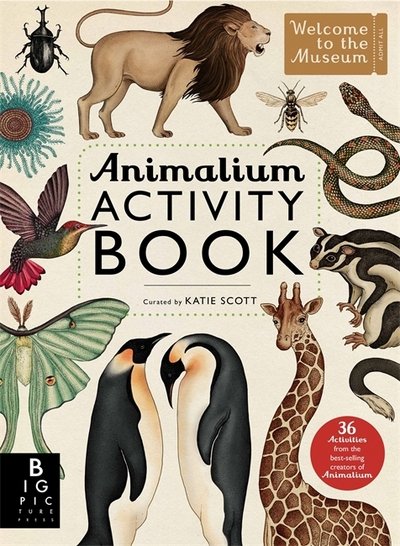 Animalium Activity Book - Katie Scott - Libros - Templar Publishing - 9781783703432 - 1 de julio de 2015