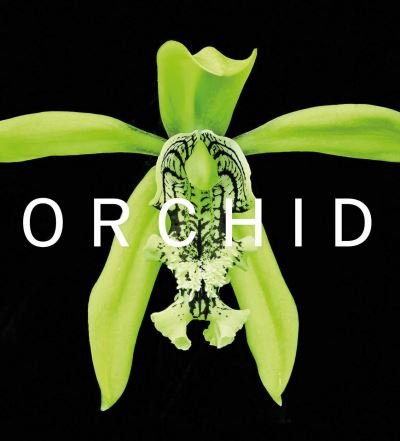 Cover for David A. Berry · ORCHID: Marie Selby Botanical Gardens (Hardcover bog) (2023)
