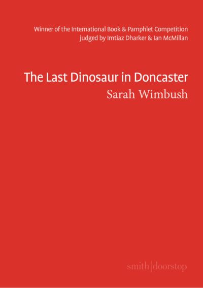 Cover for Sarah Wimbush · The Last Dinosaur in Doncaster (Paperback Book) (2021)