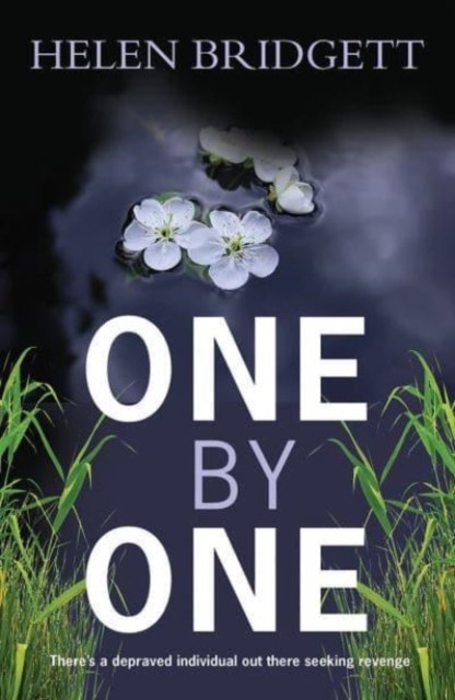 Cover for Helen Bridgett · One by One (Paperback Book) (2022)