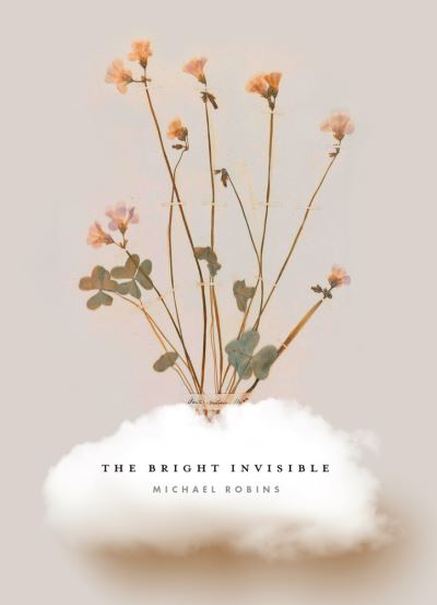 Bright Invisible - Michael Robins - Books - Saturnalia Books - 9781947817432 - October 15, 2022