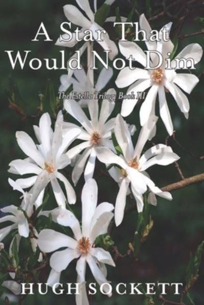 Cover for Hugh Sockett · A Star That Would Not Dim (Paperback Book) (2021)