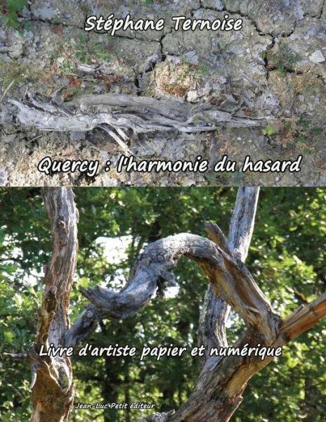 Cover for Stéphane Ternoise · Quercy : L'harmonie Du Hasard: Livre D'artiste Papier et Numérique (Pocketbok) [French, 1 edition] (2013)