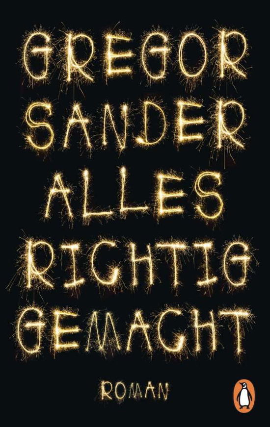 Cover for Sander · Alles richtig gemacht (Book)