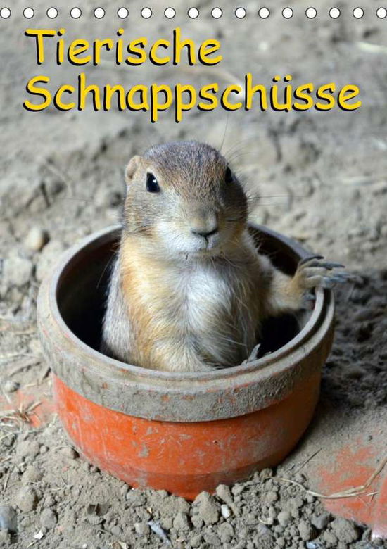 Tierische Schnappschüsse (Tischka - Kaina - Książki -  - 9783670698432 - 