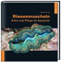 Riesenmuscheln - Daniel Knop - Books - Daehne Verlag - 9783935175432 - February 1, 2009